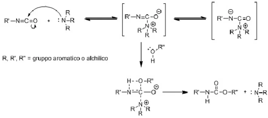 Figura 18. Meccanismo di catalisi isocianato-ammina 