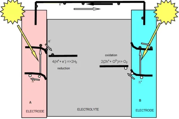 Figura 1.4: Schema di una cella elettrolitica in cui avvengono reazioni di ossidoriduzione dell’acqua
