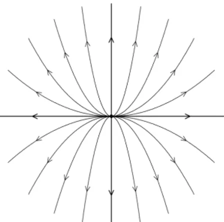 Figura 1.1: Traiettoria Figura 1.2: Nodo repulsivo