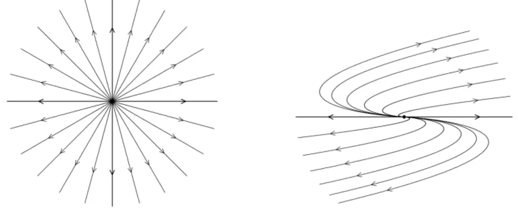 Figura 1.11: Nodo a stella repulsivo Figura 1.12: Nodo degenere repulsivo con F funzione continua con le derivate parziali prime continue su un aperto D di R × R n contenente l’intero asse t.