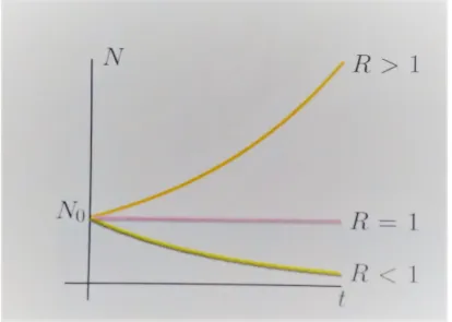 Figura 2.1: Il destino finale di una polazione malthusiana, a seconda dei valori di R