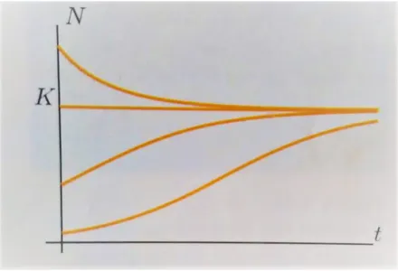 Figura 2.2: Andamento della numerosit` a