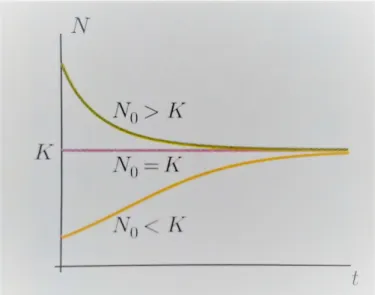 Figura 2.3: La curva logistica per tre diversi dati iniziali N 0 Questi due modelli sono per` o meno diversi di quanto sembri.