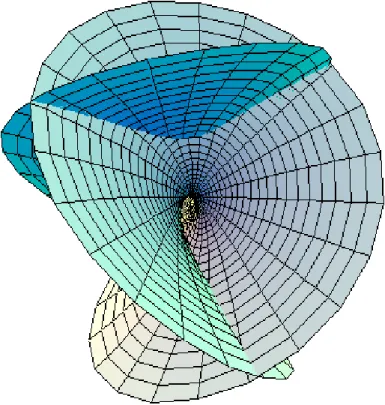 Figure 2.4: Enneper’s minimal surface.