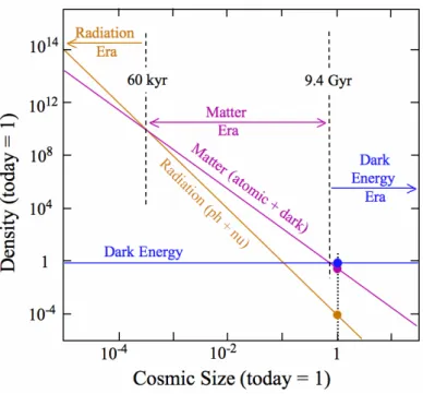 Figure 1.2.1: Evolution of the energy density of the three kind of constituent in function of the cosmic scale factor [4].