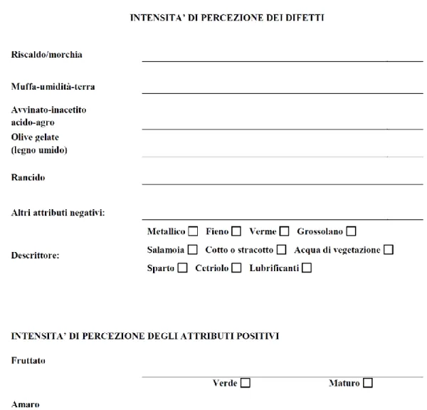Figura  2.1.3  Scheda  di  profilo  dell’olio  d’oliva  vergine  intensità  di  percezione dei difetti e degli attributi positivi (COI/T.20/Doc