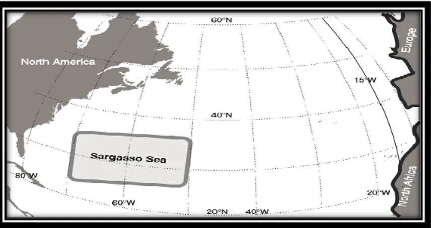 Fig. 4 Areale di riproduzione di Anguilla anguilla nell’Oceano Atlantico (Blanke et al., 2012) 