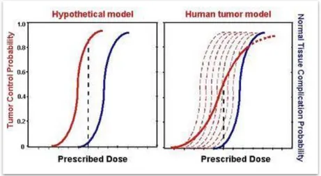 Figura 1.1: Curve di probabilità di controllo tumorale (TCP, Tumor Control Probability, in rosso) e di probabilità di complicazioni per  i tessuti sani (NTCP, Normal Tissues Complication Probability, in blu) in funzione della dose