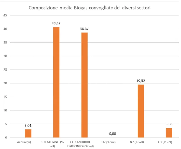 Figura 13 Composizione media del biogas prodotto da tutti i settori della discarica. 