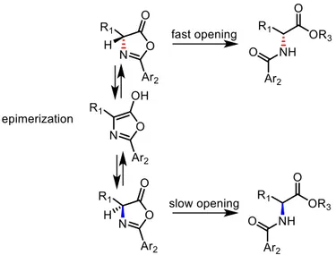 Figure 13: dynamic kinetic resolution of azlactones by alcoholysis 