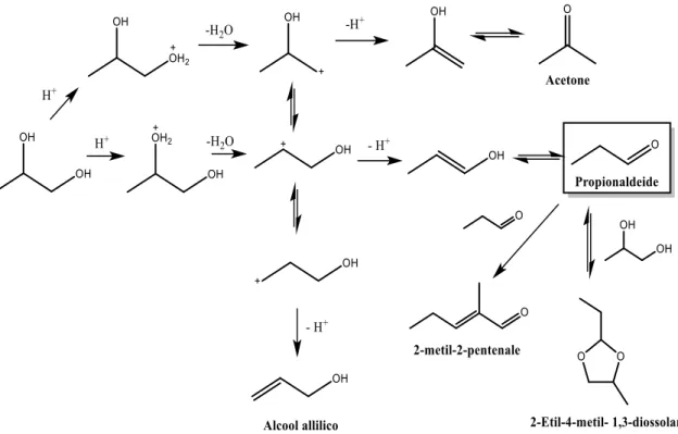 Fig. 3.1 Possibili prodotti ottenibili da 1,2-PDO in catalisi acida