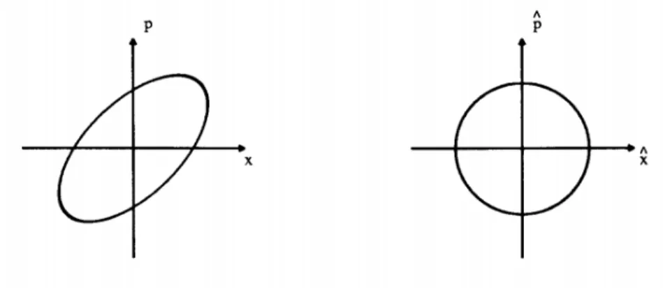 Figure 1.5: Effects of the Courant-Snyder coordinates trans- trans-formation on the trajectories in the phase space [9].