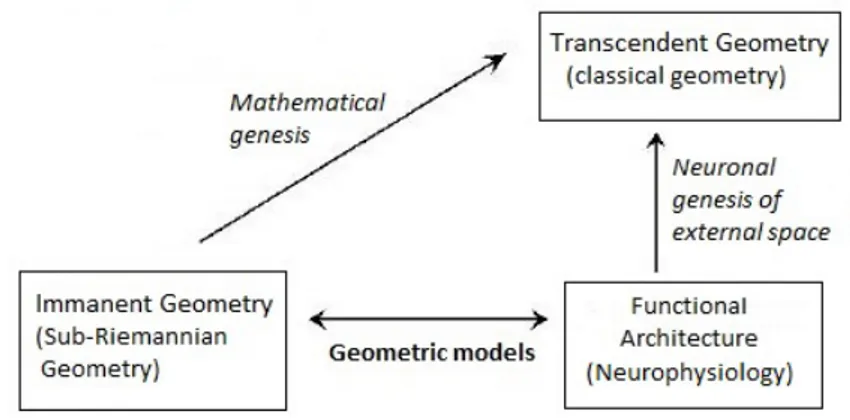 Figure 1.1: General scheme proposed by Petitot [22] to describe the visual cortex Geometry.
