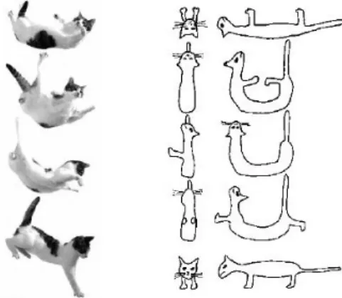 Figure 1.6: The cat spins itself around and right itself.