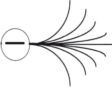 Figure 2.10: Association field from the experiment of Field, Hayes and Hess [7]. The local association field is shown in Figure 2.10 and it can be modeled as a family of integral curves of vector fields belonging to the contact planes spanned by X 1 and X 