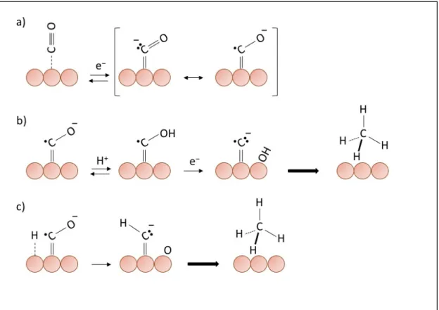 Figure 1-6. (a) proposed mechanism for initial electron transfer to adsorb CO as rate determining step,  (b) (c) the reaction mechanisms assumed according with the observed transfer coefficient and reaction 