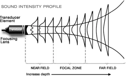 Figura 2.3: Profilo dell’intensità di un fascio ultrasonico.