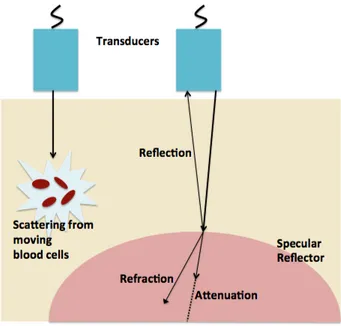 Figura 2.4: Interazione tra ultrasuoni e materia.