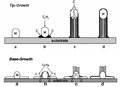 Figura  1-10.  Illustrazione  dei  due  metodi  di  crescita  Tip-Growht  e  Base- Base-Growht