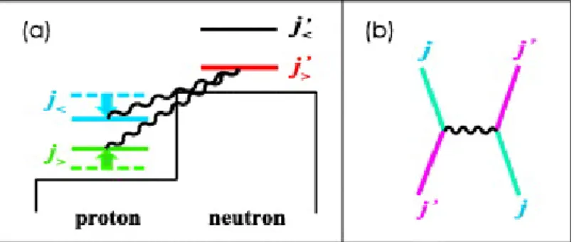 Figura 4: Interazione tensoriale tra due orbite j e j’ mediata da un pione π e spostamento dei livelli energetici
