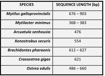 Table	6:	Length	in	base	pairs	(bp)	of	the	COI	region	regarding	the	target	species.	 SPECIES	 SEQUENCE	LENGTH	(bp)	 Mytilus	galloprovincialis	 676	–	903	 Mytilaster	minimus	 368	–	383	 Arcuatula	senhousia	 476	 Xenostrobus	securis	 554	 Brachidontes	pharaon