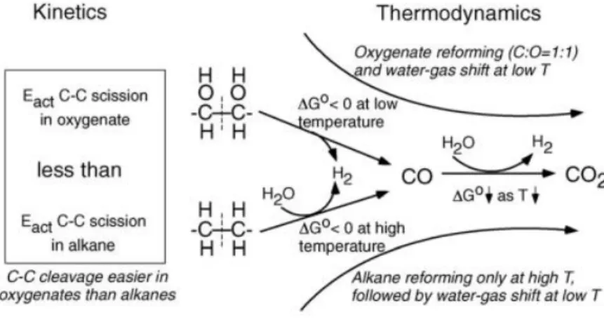 Figura 7 Schema riassuntivo degli aspetti cinetici e termodinamici alla base del processo di APR