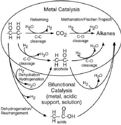 Figura 9 Riassunto dei percorsi di reazione e dell'influenza della catalisi sulla selettività nell'APR di  composti ossigenati
