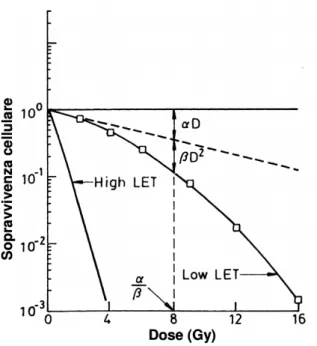 Figura 1.6: Relazione Dose - Sopravvivenza cellulare (vedi eq. 1.4) su scala semilogaritmica per radiazioni ad alto e basso LET in un tessuto early responder.