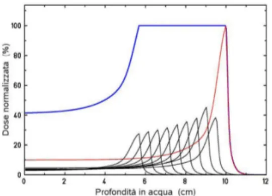 Figura 1.20: Profilo della dose percentuale in funzione della profondit` a di un fascio di protoni monoenergetico (linea rossa)
