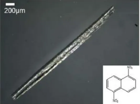 Figure  2.15:  DNN  organic  single  crystals:  Optical  microscopy  image  in  transmission  mode  [36]