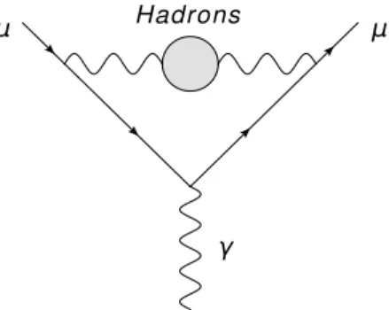 Figure 1.6: Leading hadronic contribution to a µ .