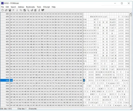 Figura 4.2: Piccola sezione del le FFORM visualizzato tramite un hex editor. A destra si notano i caratteri mostrati in codica ASCII mentre a sinistra i valori dei byte in esadecimale