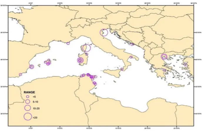 Figura 17. Distribuzione spaziale Pinna nobilis nel Bacino Mediterraneo. È indicata la densità di individui (individui per 100m²).