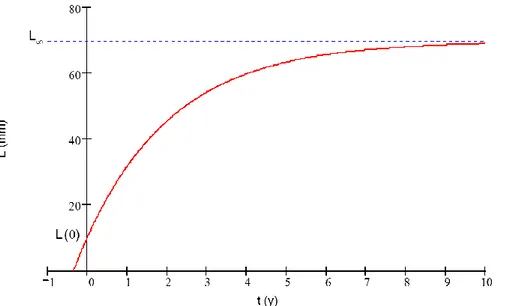 Figura 29. Modello di crescita secondo l'equazione di Von Bertalanffy (t 0 =età individuo; L=lunghezza individuo;  L( 0 )= lunghezza al tempo 0; L ∞ =lunghezza asintotica 