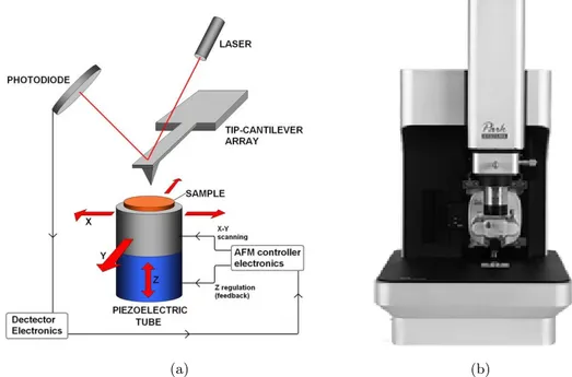 Figure 3.10: a) Working principles of AFM, b) Atomic force microscopy Park System NX10 used in this work.
