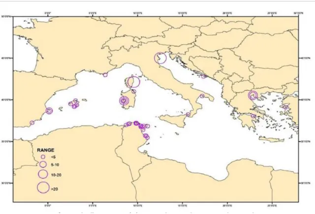 Figura 13. Mappa del Mediterranio. I cerchi viola indicano la desintà di Pinna nobilis  nei vari siti (Individui per 100m²)