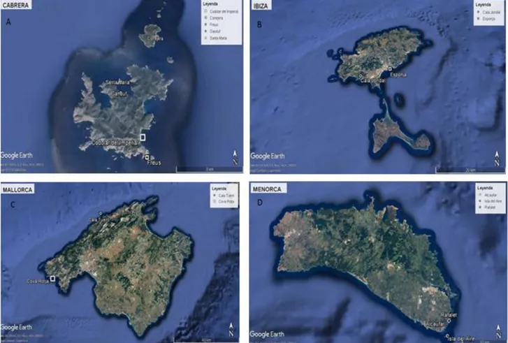 Figura 16. Area di campionamento nel dettaglio: A) Isola di Cabrera; B) Isola di Ibiza; C) Mallorca; D)  Menorca