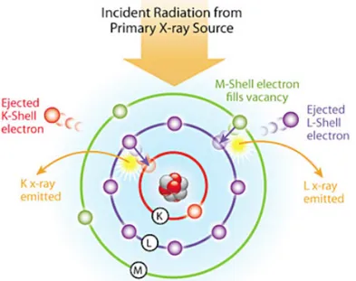 Figura 1.8: Schematizzazione dell’emissione di radiazione caratteristica dovuta all’interazione di un atomo con un fascio di radiazione primaria.