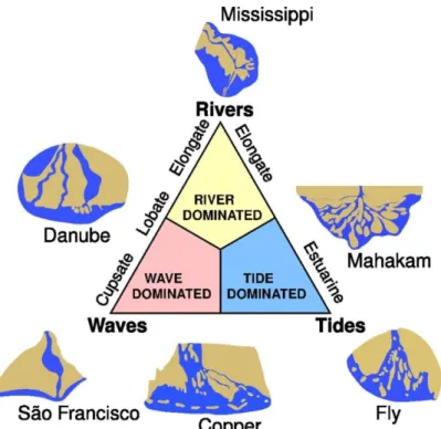Figura  9  –  Classificazione  dei  sistemi  deltizi  di  Galloway.  Il  delta  del  fiume  Danubio è composto da vari lobi, alcuni river-dominated altri wave-dominated 