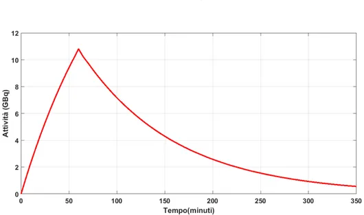 Figura 2.2: Andamento dell’attività di un radionuclide durante la sua produzione. Finito l’irraggiamento a t=60 min l’attività inizia a decadere esponenzialmente.