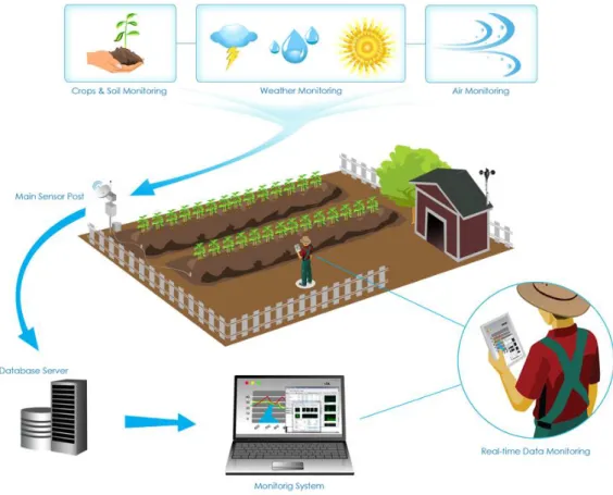 Figura 13-Esempio di Internet of Things applicato al Settore dell'Agricoltura [13.a]