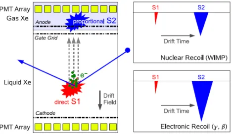 Figure 2.1: (Left) Schematic view of the XENON TPC along with its working prin- prin-ciple