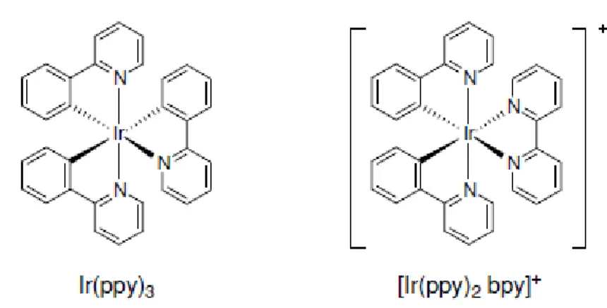 Figura 1.5: Strutture di Ir(ppy) 3  e [Ir(ppy) 2 bpy] + , complessi di Ir(III) rispettivamente omolettico ed  eterolettico