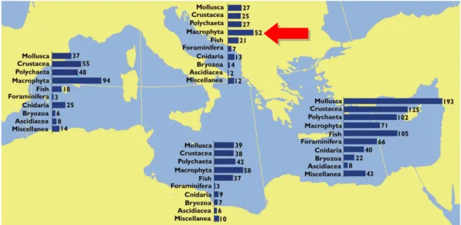 Fig. 4. Numero di specie aliene marine per i principali  gruppi nelle sottoregioni della MSFD del Mar  Mediterraneo (Zenetos et al., 2012)