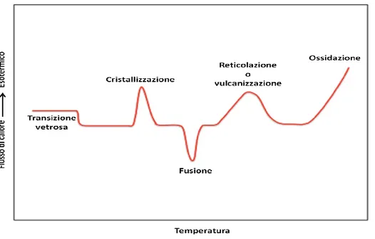 Figura 3.1 Termogramma di un polimero generico con le principali transizioni di fase 