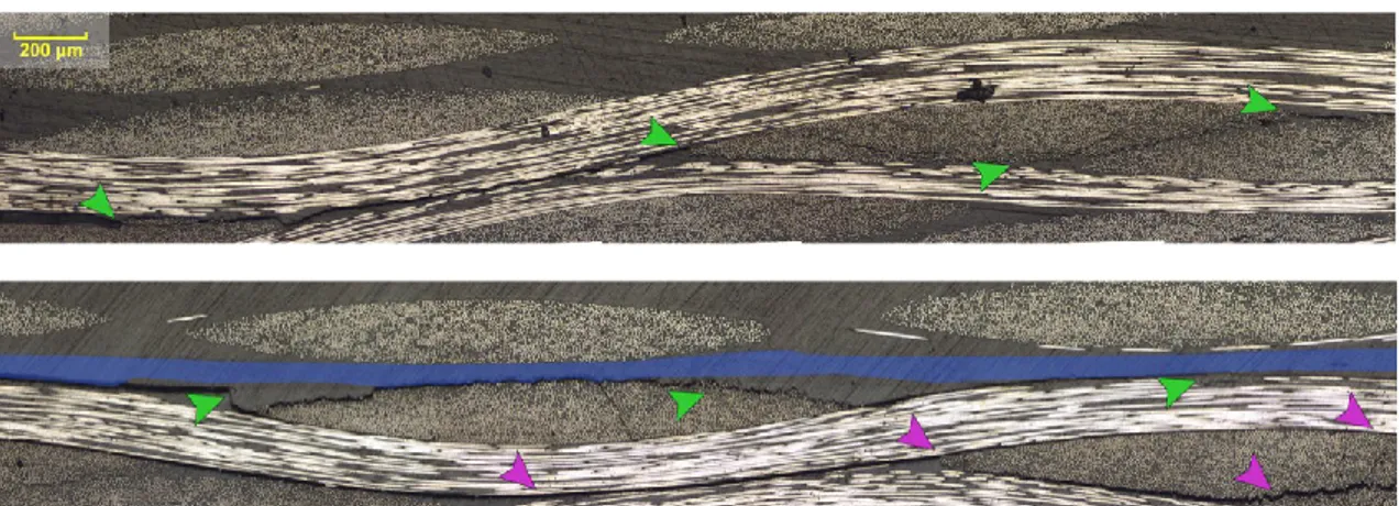 Figura  1.18: Micrografie della  diversa propagazione della cricca tra provino  vergine  e rinforzato con  un  tappetino di nanofibre (in blu)