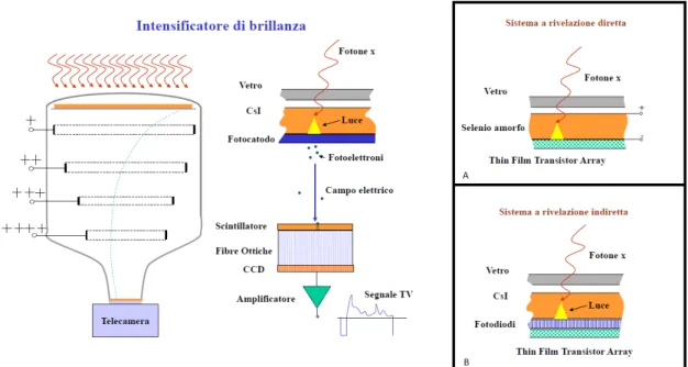 Figura 2.9: Intensificatore di brillanza: effettua la conversione da immagine radiologica ad immagine elettronica per mezzo di uno scintillatore