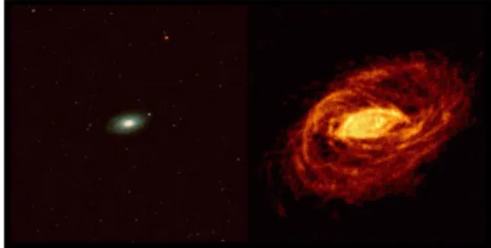 Figura 2.3: confronto emissione ottica ed emissione HI in NGC 5055