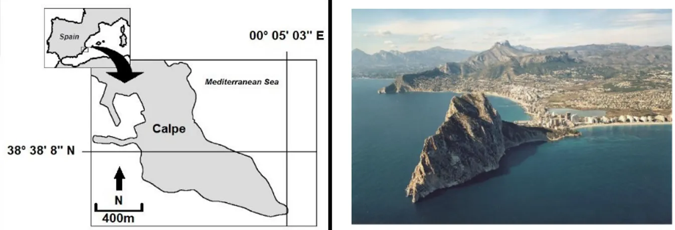 Figure 3.1. Geographic location of the study area. Figure 3.2. View of the Peñón de Ifach from the sea.