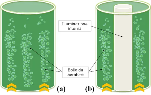 Fig.  4  –  Fotobioreattore  a  colonna  di  tipo  bubble  (BC-PBR)  semplice  (4.a)  e  anulare  (4.b):  le  bolle  vengono  generate  da  un  aeratore  posto  alla  base  che  consente  sia  l’ingresso  di  gas  respiratori (O 2  e CO 2 ) sia il mixing d